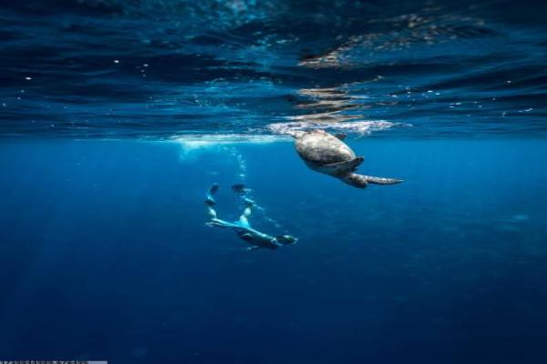 璧山区体育培训团购活动与优惠推荐